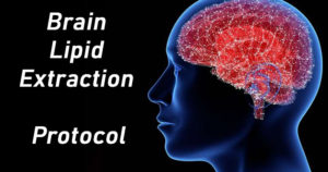 Brain Lipid Extraction Protocol