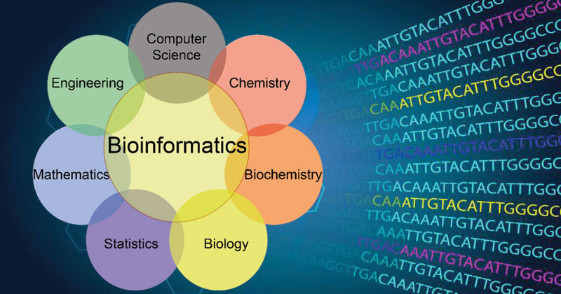 Bioinformatics- Introduction and Applications