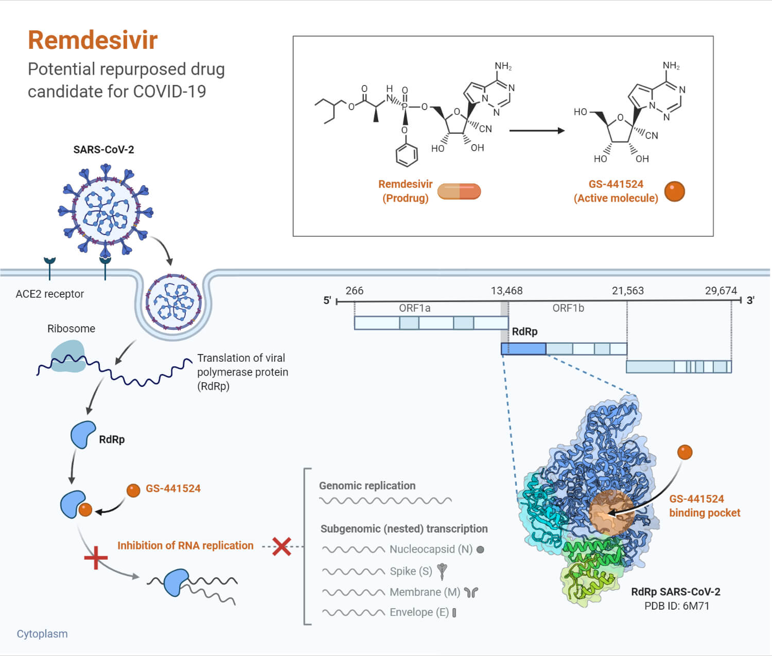 Remdesivir- Potential Repurposed Drug Candidate for COVID-19