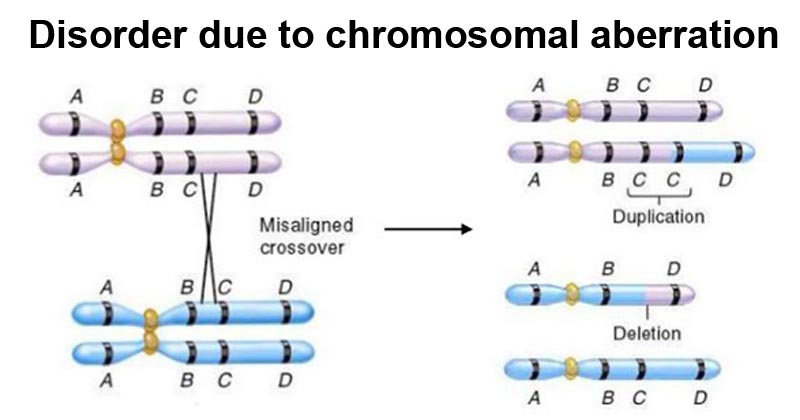 Disorder due to chromosomal aberration