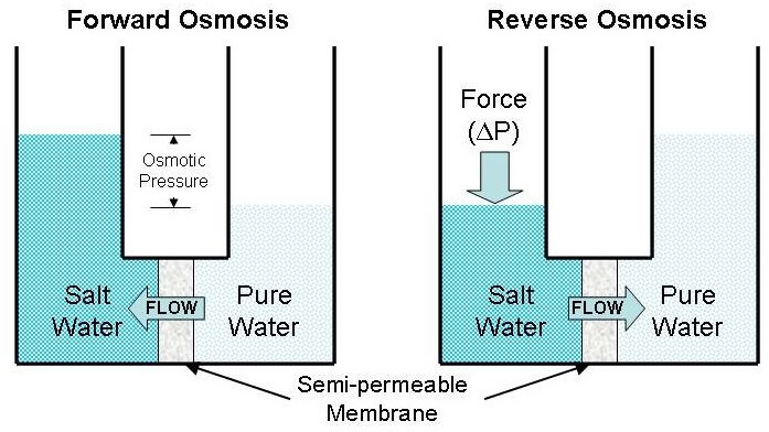 Reverse osmosis and Forward osmosis