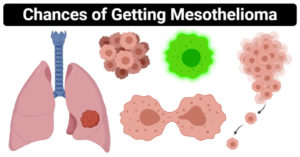 Chances of Getting Mesothelioma