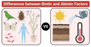 Differences between Biotic and Abiotic Factors (Biotic vs Abiotic Factors)