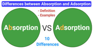 differences between Absorption and Adsorption (Absorption vs Adsorption)