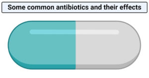 Some common antibiotics and their effects
