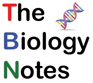 The-Biology-Notes-Logo