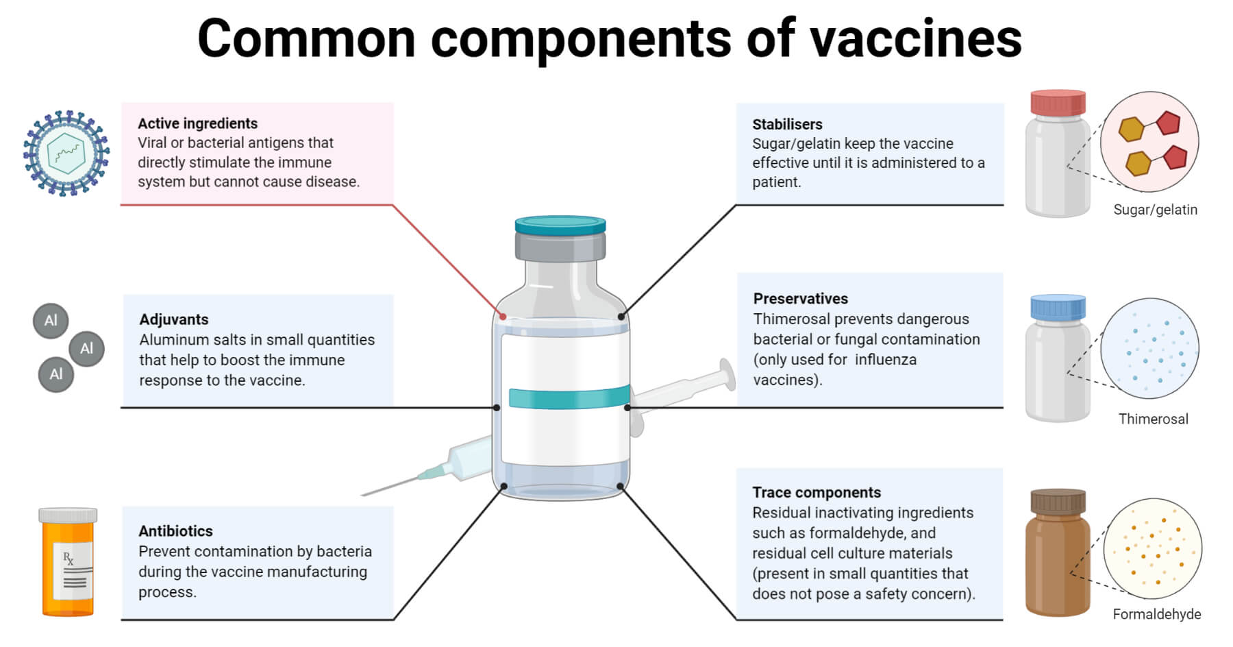 Common components of vaccines