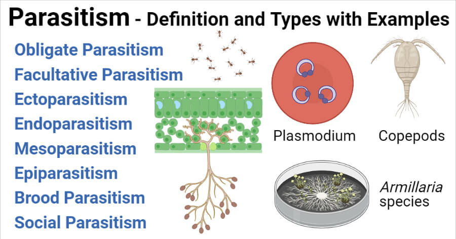 Parasitism Interaction- Definition and Types with Examples