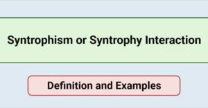 Syntrophism or Syntrophy Interaction