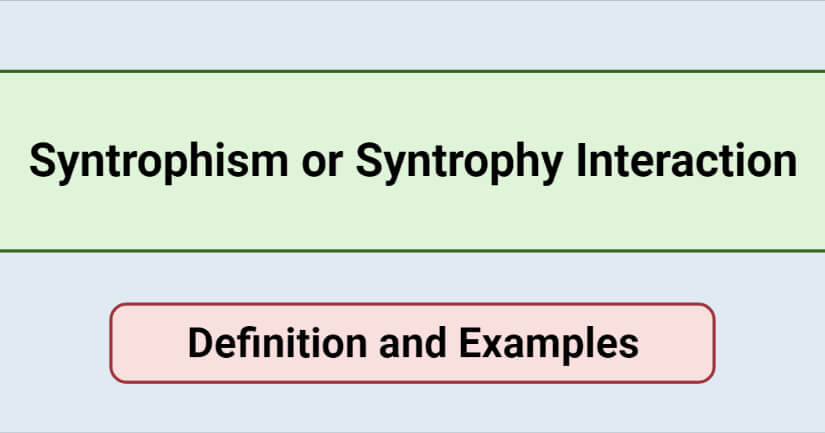 Syntrophism or Syntrophy Interaction