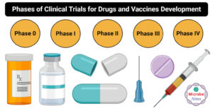 Phases of Clinical Trials for Drugs and Vaccine Development