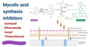 Mycolic acid biosynthesis inhibitors
