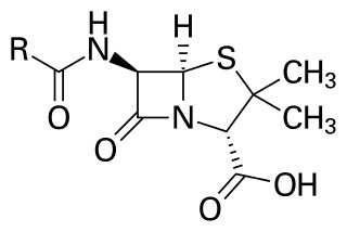 Structure of Penicillin