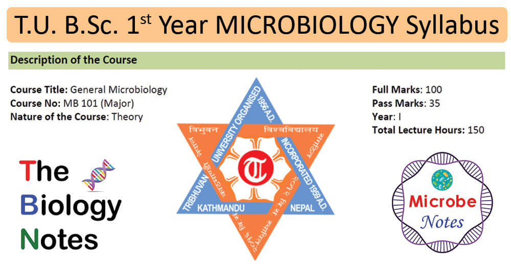 T.U. B.Sc. 1st Year General Microbiology Syllabus and Notes Link