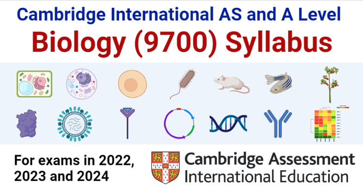 Cambridge AS & A Level Biology 9700 Syllabus 2022-2024