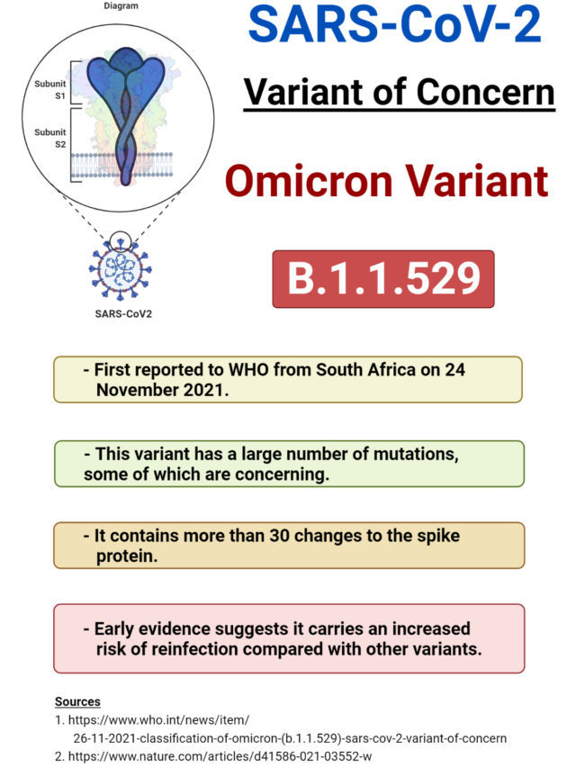Omicron Variant (B.1.1.529)