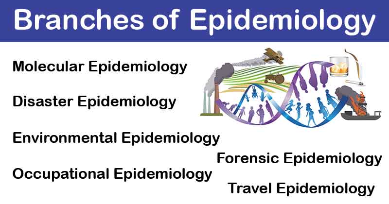 Branches of Epidemiology