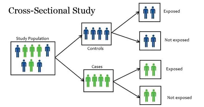 Cross-Sectional Study- Definition, Types, Applications, Advantages, Limitations