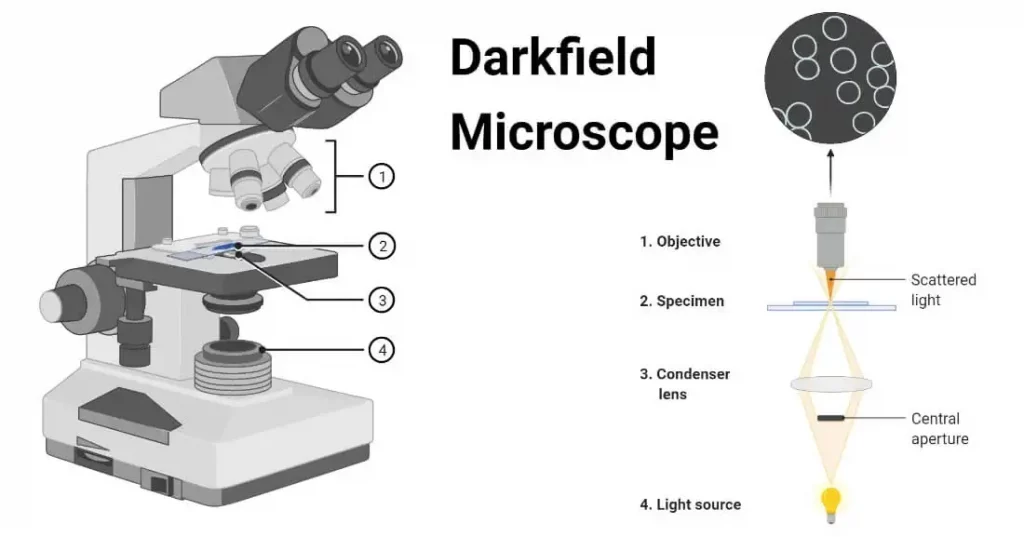 Dark Field Microscope