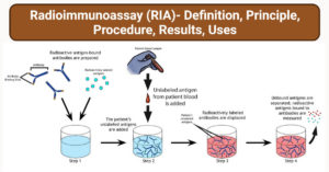 Radioimmunoassay (RIA) Procedure