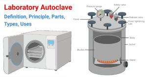 Laboratory Autoclave