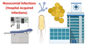 Nosocomial Infections (Hospital Acquired Infections)