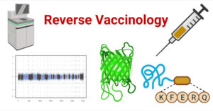 Reverse Vaccinology