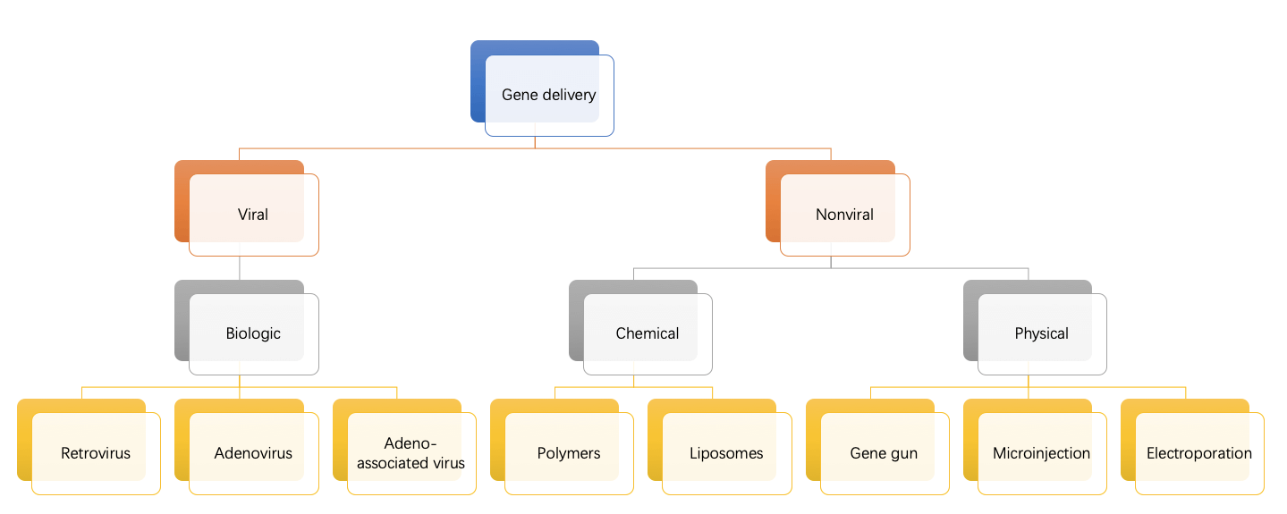 Types of Gene Delivery Methods