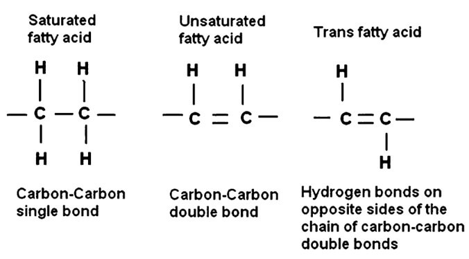 Types of fatty acids