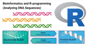 Bioinformatics and R-programming (Analyzing DNA Sequences)