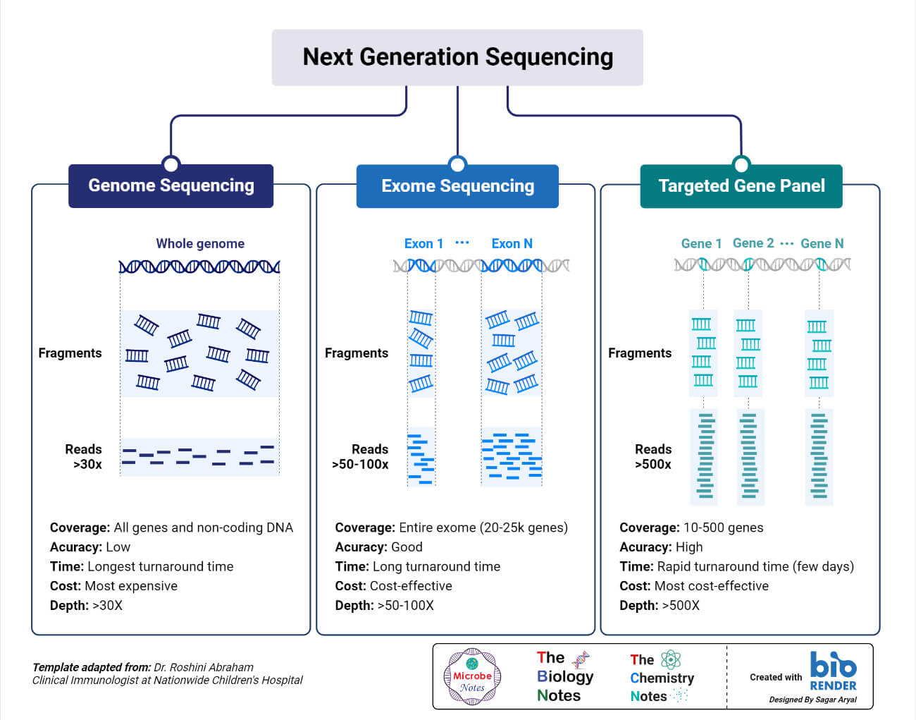Comparison of Next Generation Sequencing Techniques