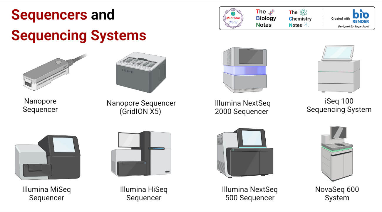 DNA Sequencers Examples