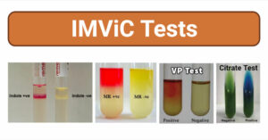 IMViC Tests