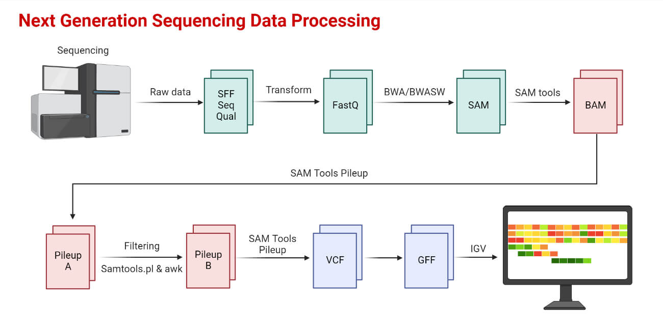 Next Generation Sequencing Data Processing