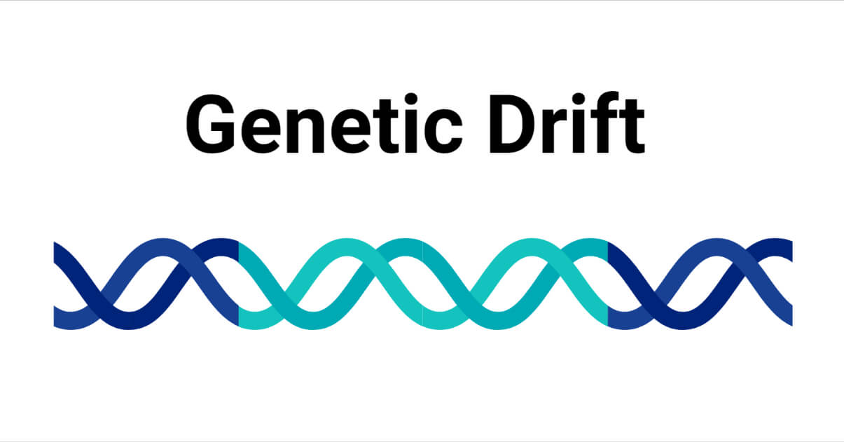 Genetic Drift