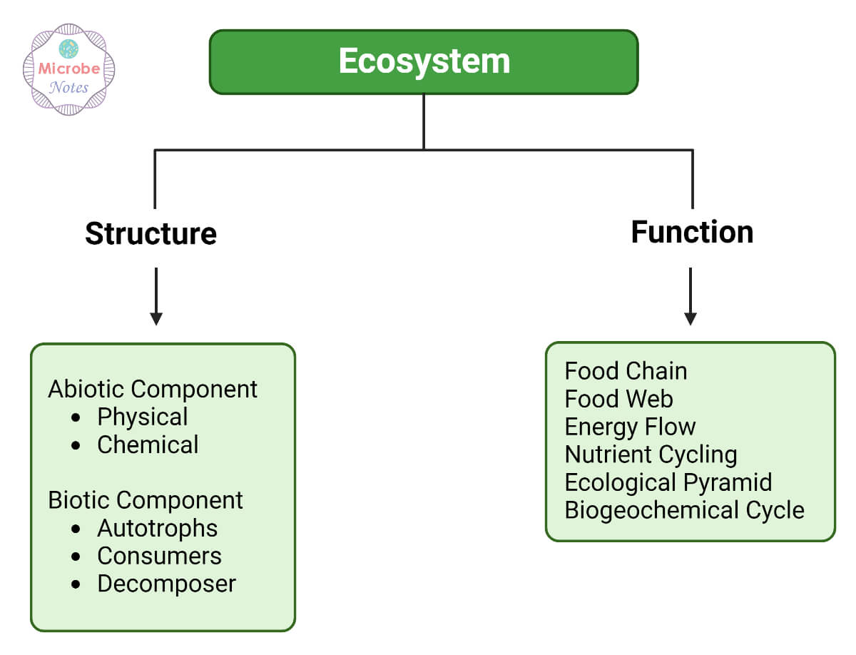 Basic Components of Ecosystem
