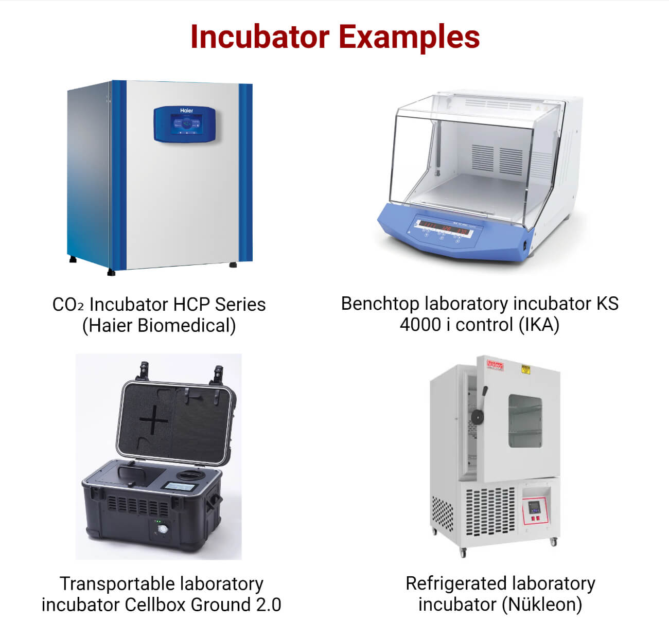 Incubator Examples