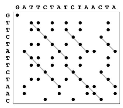 Example of comparing two sequences using dot plots.