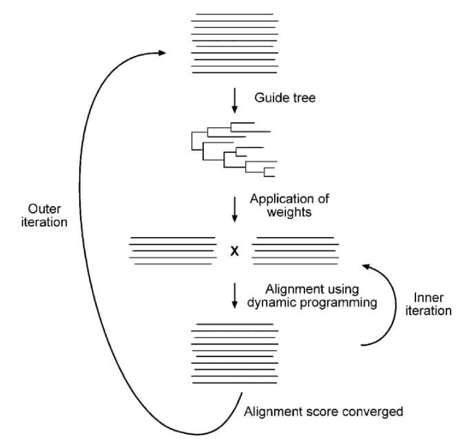 Iterative alignment procedure for PRRN