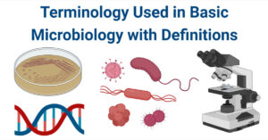 Terminology Used in Basic Microbiology